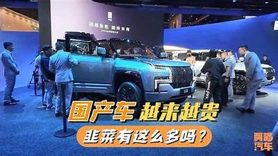 外国人如何看待国产电动车？视频网站深度解析与评论